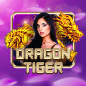 Dragon Tiger playtime casino apk