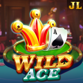 Wild Ace playtime casino apk